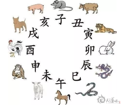 與父母生肖六沖的孩子