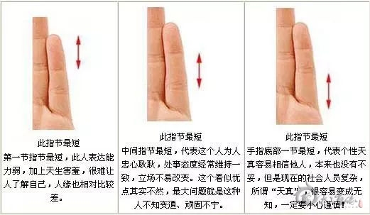 相術｜從小指指節長度看性格運勢